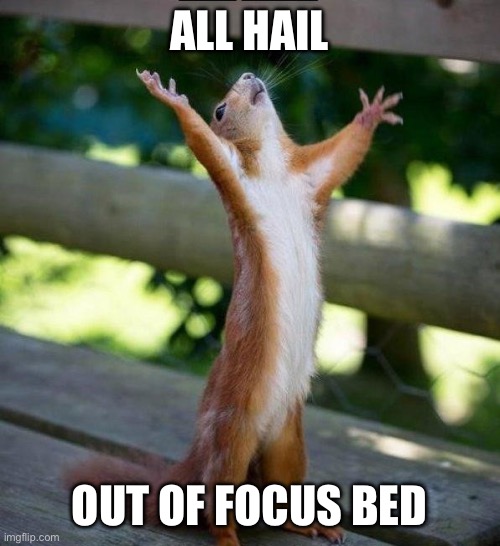 All Hail | ALL HAIL OUT OF FOCUS BED | image tagged in all hail | made w/ Imgflip meme maker