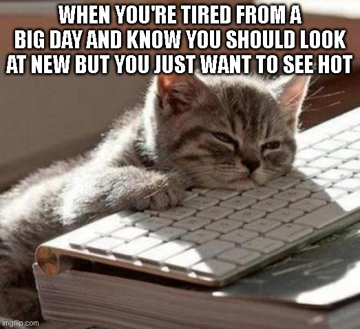 We all have our weak moments | WHEN YOU'RE TIRED FROM A BIG DAY AND KNOW YOU SHOULD LOOK AT NEW BUT YOU JUST WANT TO SEE HOT | image tagged in tired cat | made w/ Imgflip meme maker