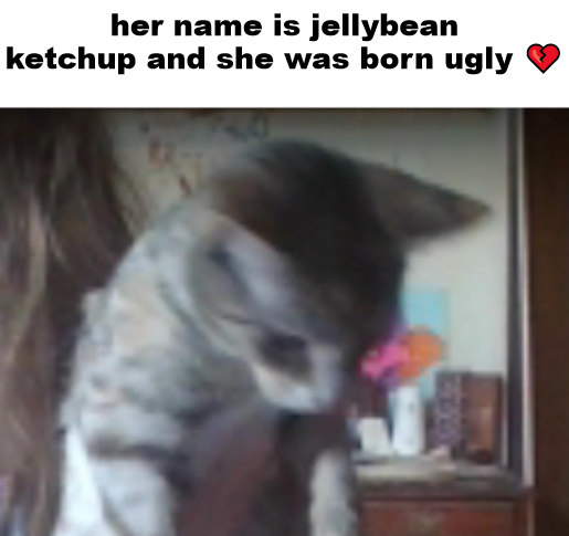 jellybean ketchup the cat Blank Meme Template