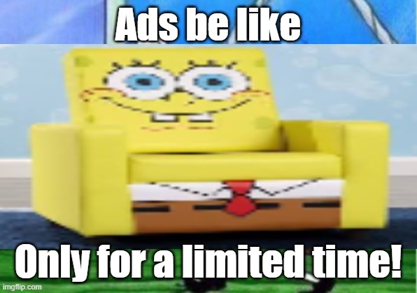 Ads be like | Ads be like; Only for a limited time! | image tagged in funny | made w/ Imgflip meme maker