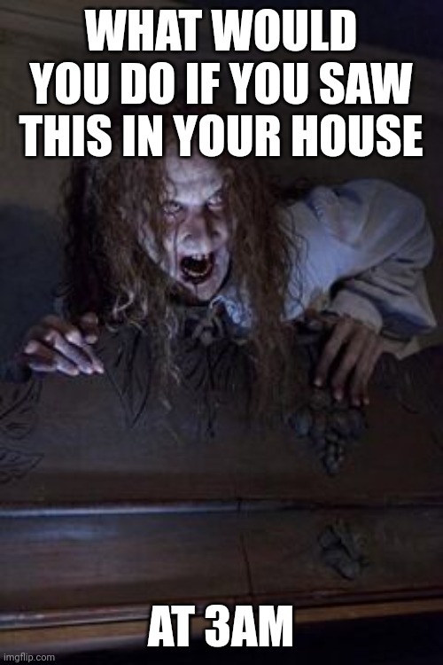 The conjuring meme | WHAT WOULD YOU DO IF YOU SAW THIS IN YOUR HOUSE; AT 3AM | image tagged in the conjuring,funny memes,horror movie,bathsheba sherman | made w/ Imgflip meme maker