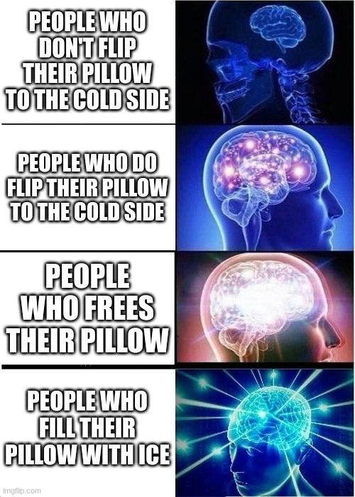 Expanding Brain | PEOPLE WHO DON'T FLIP THEIR PILLOW TO THE COLD SIDE; PEOPLE WHO DO FLIP THEIR PILLOW TO THE COLD SIDE; PEOPLE WHO FREES THEIR PILLOW; PEOPLE WHO FILL THEIR PILLOW WITH ICE | image tagged in memes,expanding brain | made w/ Imgflip meme maker