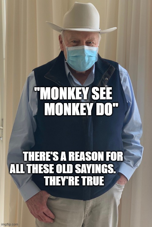Dick Cheney in a COVID19 mask | "MONKEY SEE        MONKEY DO"; THERE'S A REASON FOR ALL THESE OLD SAYINGS.          
  THEY'RE TRUE | image tagged in dick cheney in a covid19 mask | made w/ Imgflip meme maker