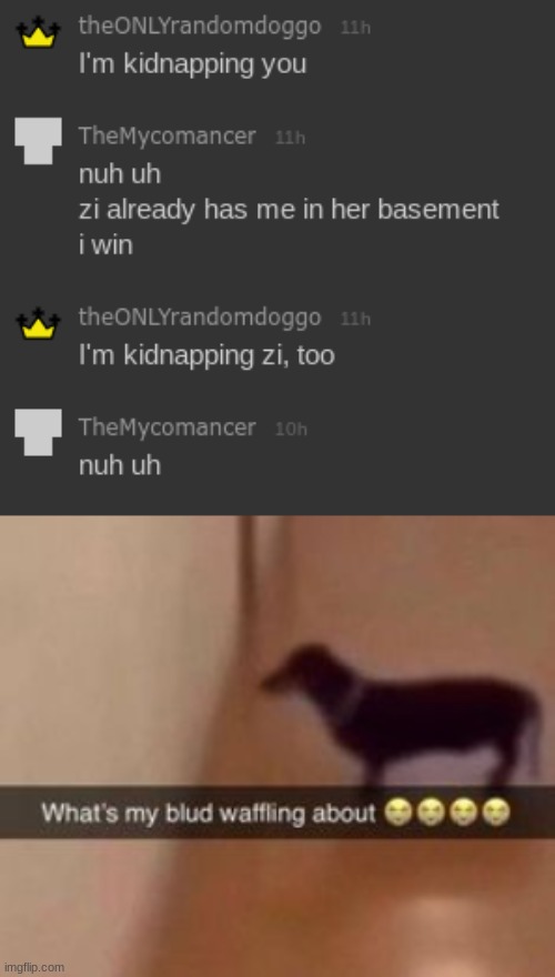 made w/ Imgflip meme maker