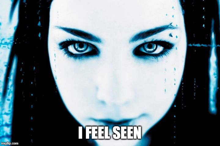 Evanescence Fallen: I FEEL SEEN | I FEEL SEEN | image tagged in evanescence,amylee | made w/ Imgflip meme maker