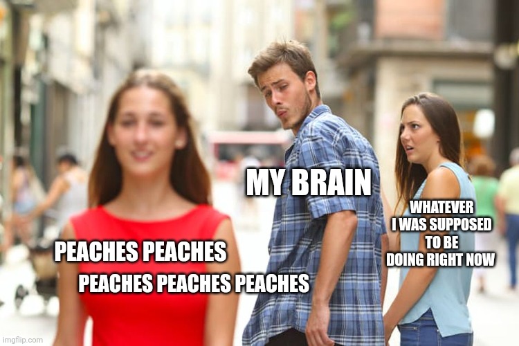 Peaches peaches peaches | MY BRAIN; WHATEVER I WAS SUPPOSED TO BE DOING RIGHT NOW; PEACHES PEACHES; PEACHES PEACHES PEACHES | image tagged in memes,distracted boyfriend | made w/ Imgflip meme maker