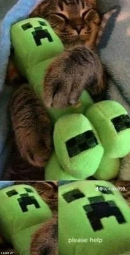 please help | image tagged in minecraft,minecraft creeper,creepers,creeper,cats,cute | made w/ Imgflip meme maker