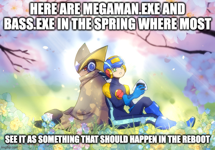 MegaMan.EXE and Bass.EXE During the Hanami Festival | HERE ARE MEGAMAN.EXE AND BASS.EXE IN THE SPRING WHERE MOST; SEE IT AS SOMETHING THAT SHOULD HAPPEN IN THE REBOOT | image tagged in megamanexe,bassexe,megaman,megaman battle network,memes | made w/ Imgflip meme maker