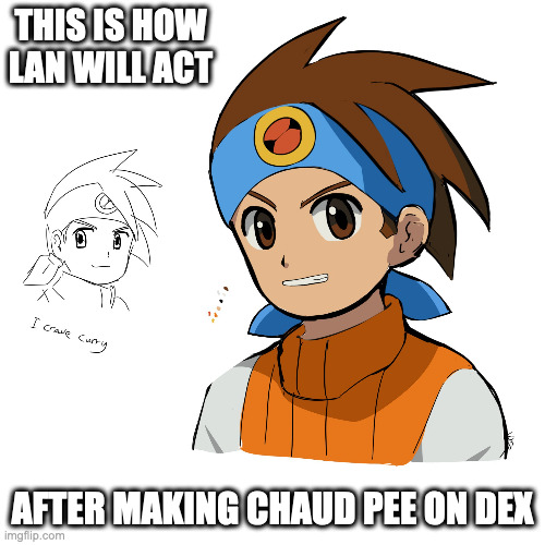 Lan Smiling | THIS IS HOW LAN WILL ACT; AFTER MAKING CHAUD PEE ON DEX | image tagged in lan hikari,megaman battle network,megaman,memes | made w/ Imgflip meme maker