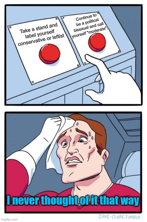 Linguine spined stances | Continue to be a political bisexual and call yourself "moderate". Take a stand and label yourself conservative or leftist; I never thought of it that way | image tagged in memes,two buttons,maga,leftists,conservatives,political humor | made w/ Imgflip meme maker
