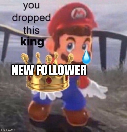 Mario you dropped this king | NEW FOLLOWER | image tagged in mario you dropped this king | made w/ Imgflip meme maker