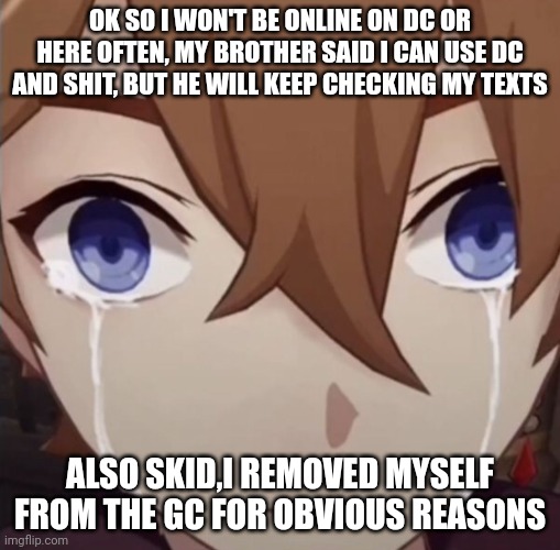 I'll probably use Pinterest and c.ai and maybe delete Imgflip and discord | OK SO I WON'T BE ONLINE ON DC OR HERE OFTEN, MY BROTHER SAID I CAN USE DC AND SHIT, BUT HE WILL KEEP CHECKING MY TEXTS; ALSO SKID,I REMOVED MYSELF FROM THE GC FOR OBVIOUS REASONS | image tagged in childe crying | made w/ Imgflip meme maker