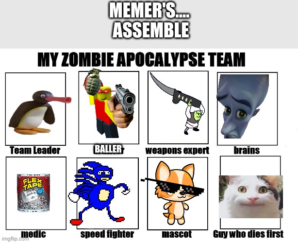 memer's assemble | MEMER'S....  
ASSEMBLE; BALLER | image tagged in my zombie apocalypse team | made w/ Imgflip meme maker