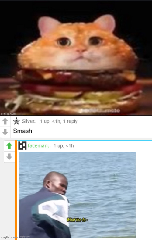 camburger | made w/ Imgflip meme maker