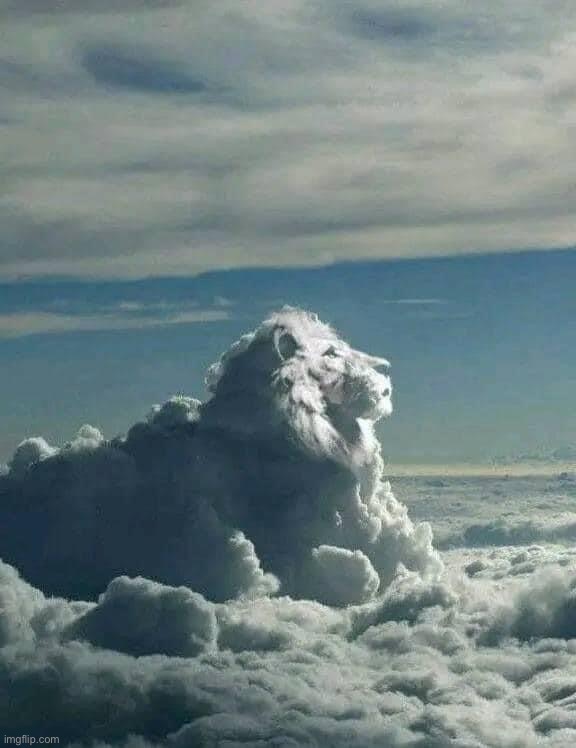 Lion cloud | image tagged in lion cloud | made w/ Imgflip meme maker