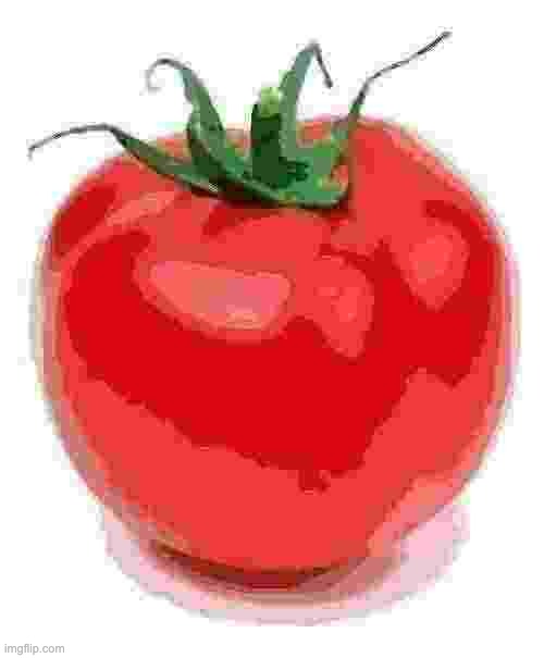 tometo | image tagged in tomato,tomoto,temoto,timuto,tameto,temato | made w/ Imgflip meme maker