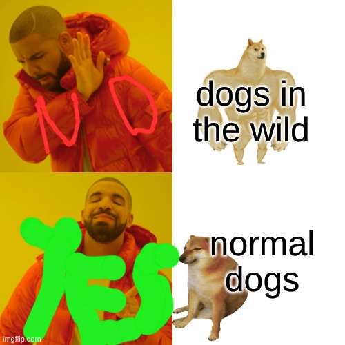 Drake Hotline Bling | dogs in the wild; normal dogs | image tagged in memes,drake hotline bling | made w/ Imgflip meme maker