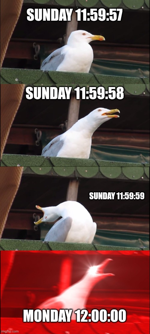 School schedule should've been like Monday - Tuesday, and then holidays on Wednesday, and then Thursday - Friday, and the weeken | SUNDAY 11:59:57; SUNDAY 11:59:58; SUNDAY 11:59:59; MONDAY 12:00:00 | image tagged in memes,inhaling seagull | made w/ Imgflip meme maker
