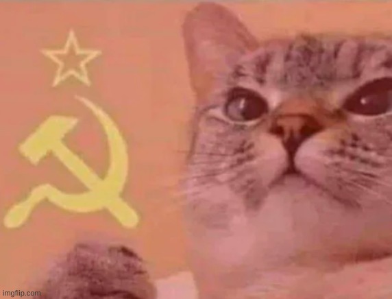 Comunist | image tagged in comunist | made w/ Imgflip meme maker