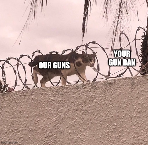 YOUR GUN BAN; OUR GUNS | made w/ Imgflip meme maker