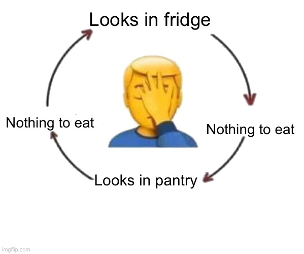 Meme #690 | Looks in fridge; Nothing to eat; Nothing to eat; Looks in pantry | image tagged in i meet someone we talk they leave,cycle,food,relatable,so true,funny | made w/ Imgflip meme maker