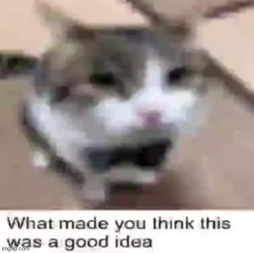 made w/ Imgflip meme maker