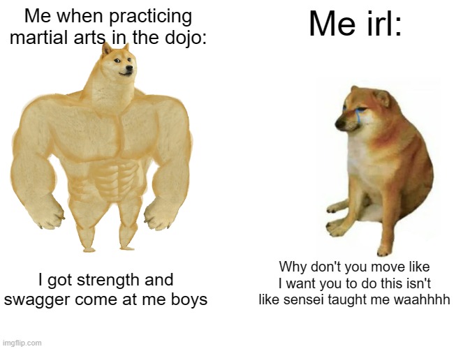 If you ever practiced martial arts as a kid u will understand | Me when practicing martial arts in the dojo:; Me irl:; Why don't you move like I want you to do this isn't like sensei taught me waahhhh; I got strength and swagger come at me boys | image tagged in memes,buff doge vs cheems,martial arts,funny,relatable,pain | made w/ Imgflip meme maker