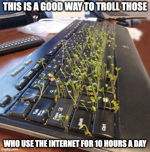 Growing Plants on a Keyboard | THIS IS A GOOD WAY TO TROLL THOSE; WHO USE THE INTERNET FOR 10 HOURS A DAY | image tagged in computer,memes,funny | made w/ Imgflip meme maker