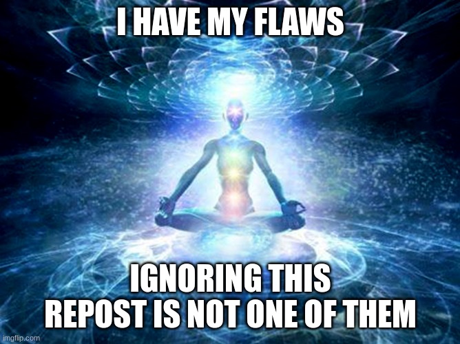 enlightened mind | I HAVE MY FLAWS IGNORING THIS REPOST IS NOT ONE OF THEM | image tagged in enlightened mind | made w/ Imgflip meme maker