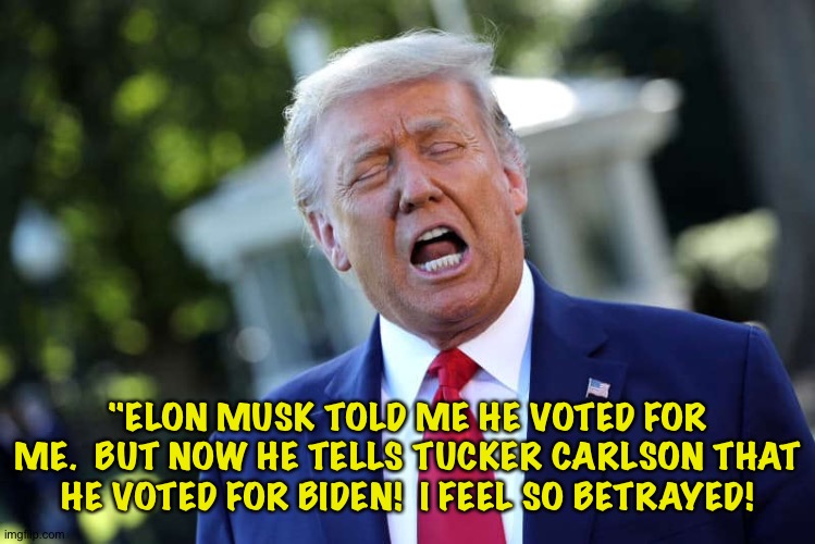 Trumpy Tantrum | "ELON MUSK TOLD ME HE VOTED FOR ME.  BUT NOW HE TELLS TUCKER CARLSON THAT HE VOTED FOR BIDEN!  I FEEL SO BETRAYED! | made w/ Imgflip meme maker
