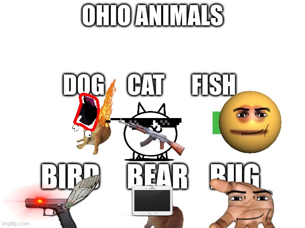 ohio | image tagged in ohio animals | made w/ Imgflip meme maker