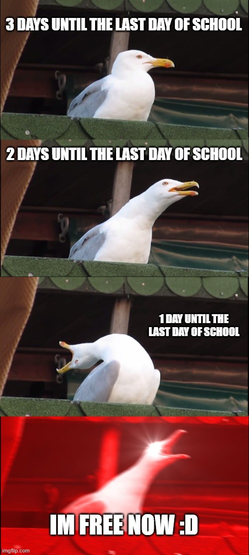3 days until the last day of school bee like | 3 DAYS UNTIL THE LAST DAY OF SCHOOL; 2 DAYS UNTIL THE LAST DAY OF SCHOOL; 1 DAY UNTIL THE LAST DAY OF SCHOOL; IM FREE NOW :D | image tagged in memes,inhaling seagull,lastdayofschool | made w/ Imgflip meme maker
