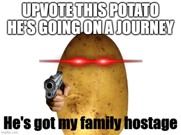 potato | UPVOTE THIS POTATO HE'S GOING ON A JOURNEY; He's got my family hostage | image tagged in potato,help,memes | made w/ Imgflip meme maker