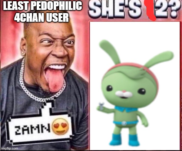 ZAMN SHE'S 12? | LEAST PEDOPHILIC 4CHAN USER | image tagged in zamn she's 12 | made w/ Imgflip meme maker