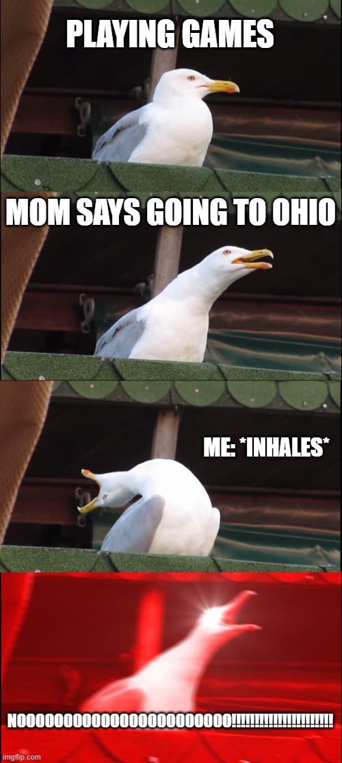 Ohio duck meme | PLAYING GAMES; MOM SAYS GOING TO OHIO; ME: *INHALES*; NOOOOOOOOOOOOOOOOOOOOOOO!!!!!!!!!!!!!!!!!!!!!! | image tagged in memes,inhaling seagull | made w/ Imgflip meme maker