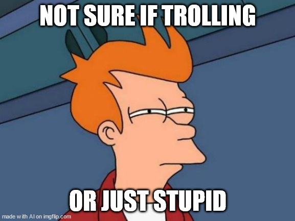 Just ... Troll ? | NOT SURE IF TROLLING; OR JUST STUPID | image tagged in memes,futurama fry | made w/ Imgflip meme maker