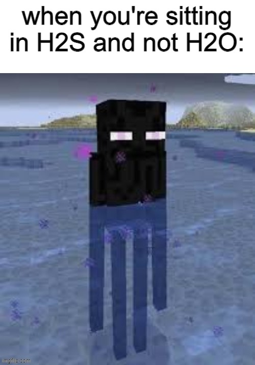 Cursed Enderman | when you're sitting in H2S and not H2O: | image tagged in cursed enderman,memes | made w/ Imgflip meme maker