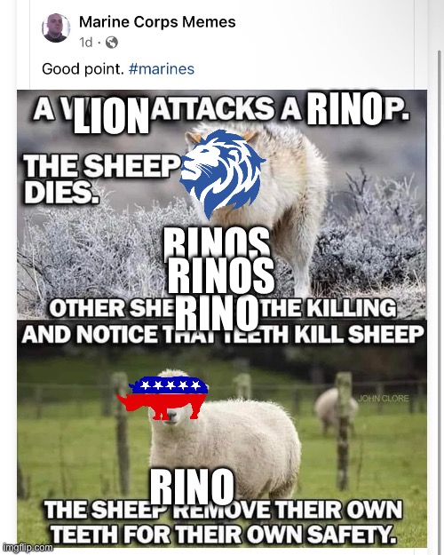 Marine corps memes | RINO; LION; RINOS; RINOS; RINO; RINO | image tagged in marine corps memes | made w/ Imgflip meme maker