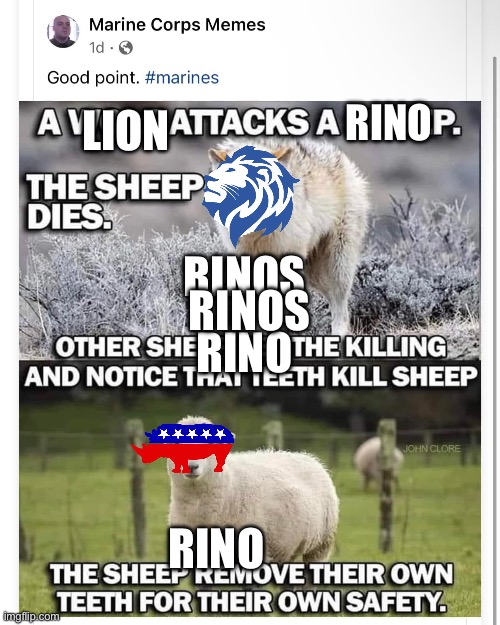 I was gonna format the textboxes more on this one but I think you get the point. #guncontrol #rino #logic #fail | RINO; LION; RINOS; RINOS; RINO; RINO | image tagged in marine corps memes,rino,logic,fail,gun control,leftists | made w/ Imgflip meme maker