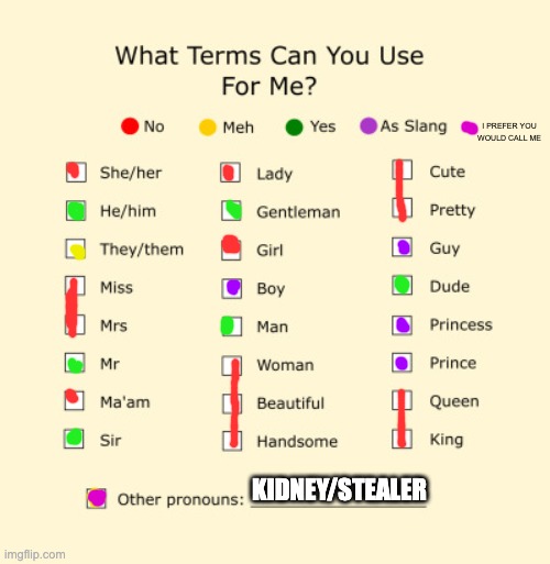 Pronouns Sheet | I PREFER YOU WOULD CALL ME; KIDNEY/STEALER | image tagged in pronouns sheet | made w/ Imgflip meme maker