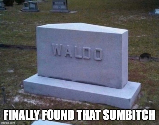 Waldo, Finally found that sumbitch | FINALLY FOUND THAT SUMBITCH | image tagged in where's waldo,waldo | made w/ Imgflip meme maker