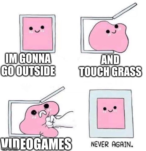 Never again | IM GONNA GO OUTSIDE; AND TOUCH GRASS; VIDEOGAMES | image tagged in never again | made w/ Imgflip meme maker
