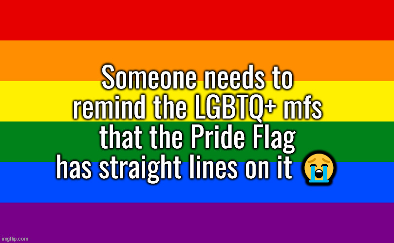 Someone needs to remind the LGBTQ+ mfs that the Pride Flag has straight lines on it 😭 | made w/ Imgflip meme maker