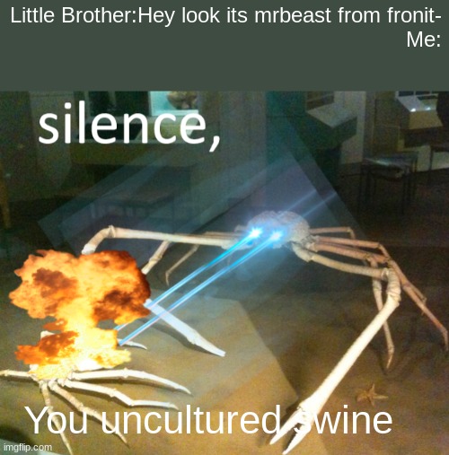 Silence Crab | Little Brother:Hey look its mrbeast from fronit-

 Me:; You uncultured swine | image tagged in silence crab | made w/ Imgflip meme maker