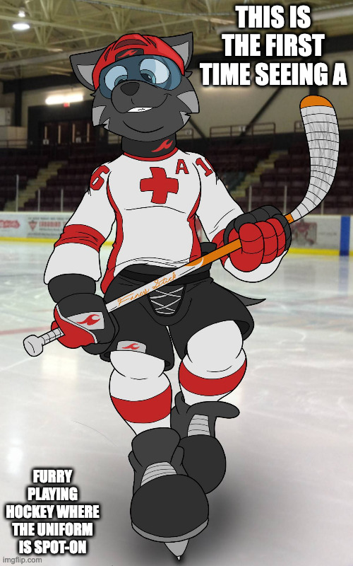 Furry in Hockey (Credit to How-DId-We-Get-Here from Deviantart) | THIS IS THE FIRST TIME SEEING A; FURRY PLAYING HOCKEY WHERE THE UNIFORM IS SPOT-ON | image tagged in furry,hockey,memes | made w/ Imgflip meme maker