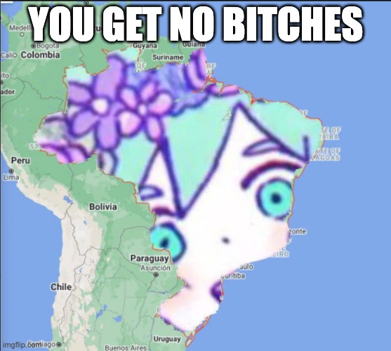 Brazil basil | YOU GET NO BITCHES | image tagged in brazil basil | made w/ Imgflip meme maker