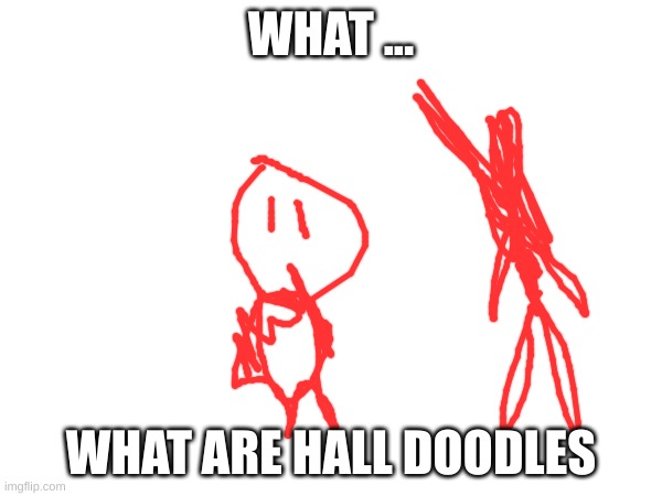 wtf are thess | WHAT ... WHAT ARE HALL DOODLES | image tagged in memes | made w/ Imgflip meme maker