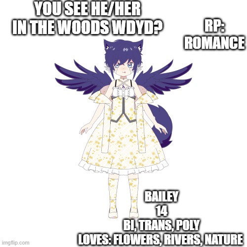 no hate, no killing | YOU SEE HE/HER IN THE WOODS WDYD? RP: ROMANCE; BAILEY
14
BI, TRANS, POLY
LOVES: FLOWERS, RIVERS, NATURE | image tagged in roleplaying | made w/ Imgflip meme maker