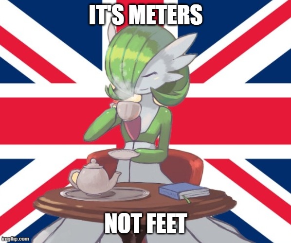 (JWSI Note- WHAT THE FUCK IS A KILOMETER)  | IT'S METERS; NOT FEET | image tagged in gardi the bri'ish | made w/ Imgflip meme maker