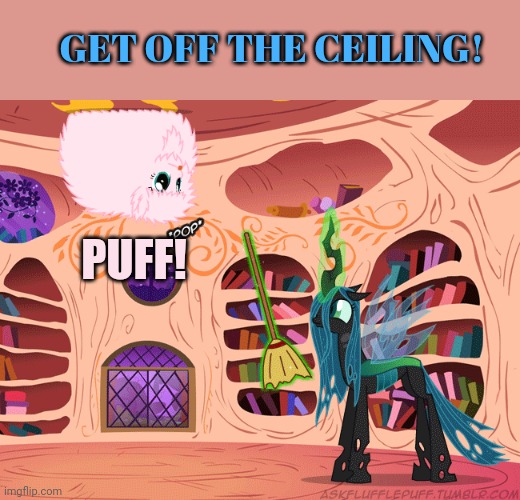 GET OFF THE CEILING! PUFF! | made w/ Imgflip meme maker